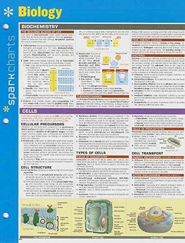 Biology SparkCharts – Pamphlet, by SparkNotes – Very Good