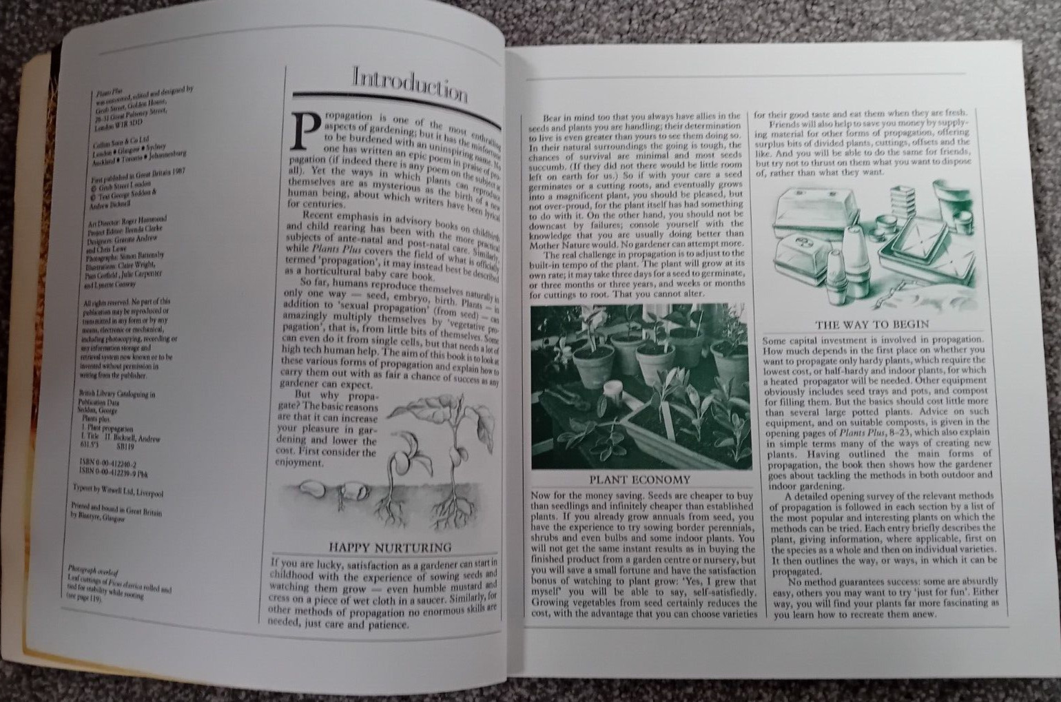 Plants Plus by George Seddon, Andrew Bicknell (Softcover, 1987)