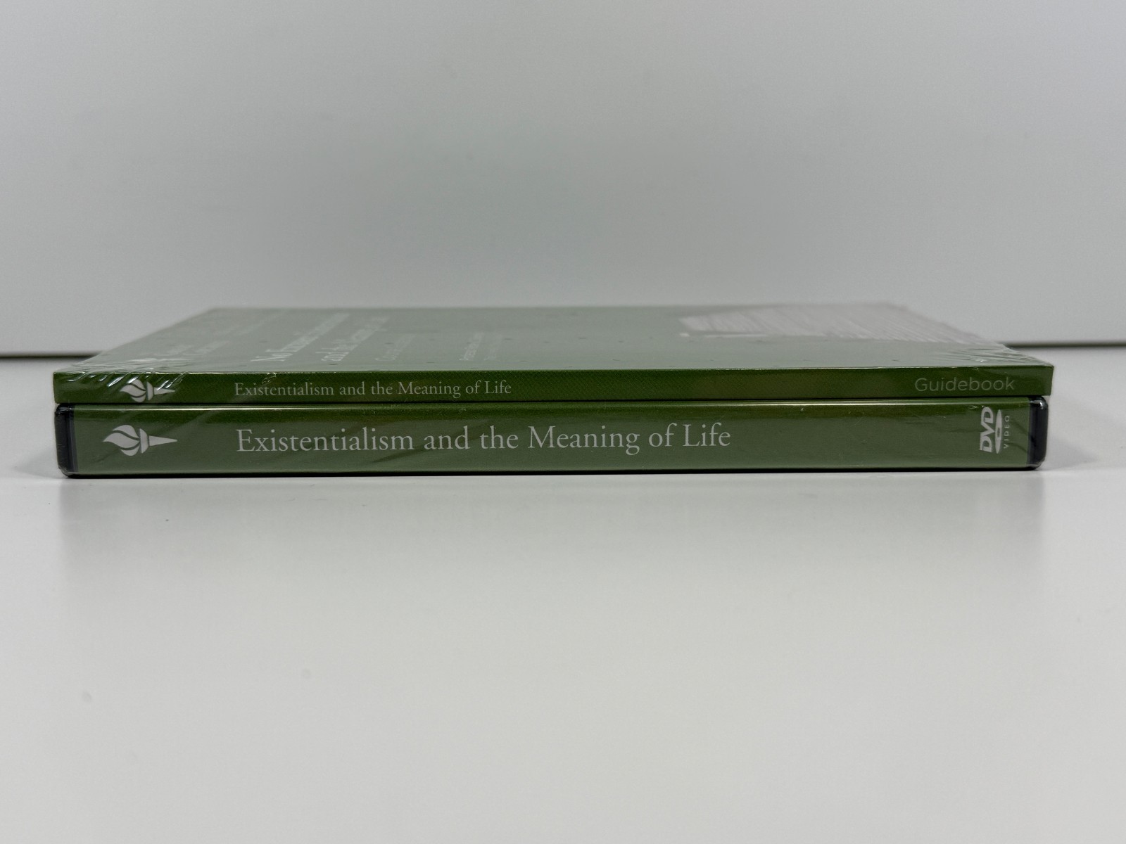 No Excuses : Existentialism and the Meaning of Life Robert Solomon DVD & Guide
