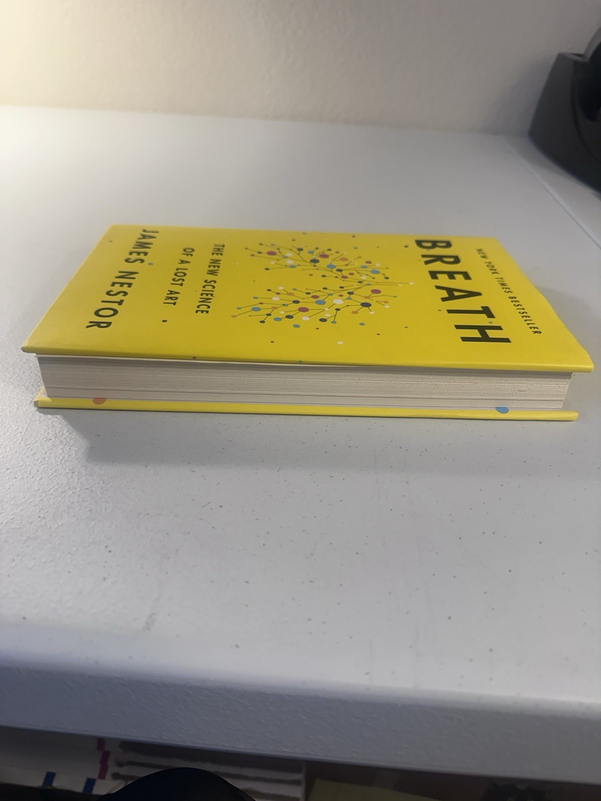 Breath: The New Science of a Lost Art; Nestor, James Breathing Methods Hardback