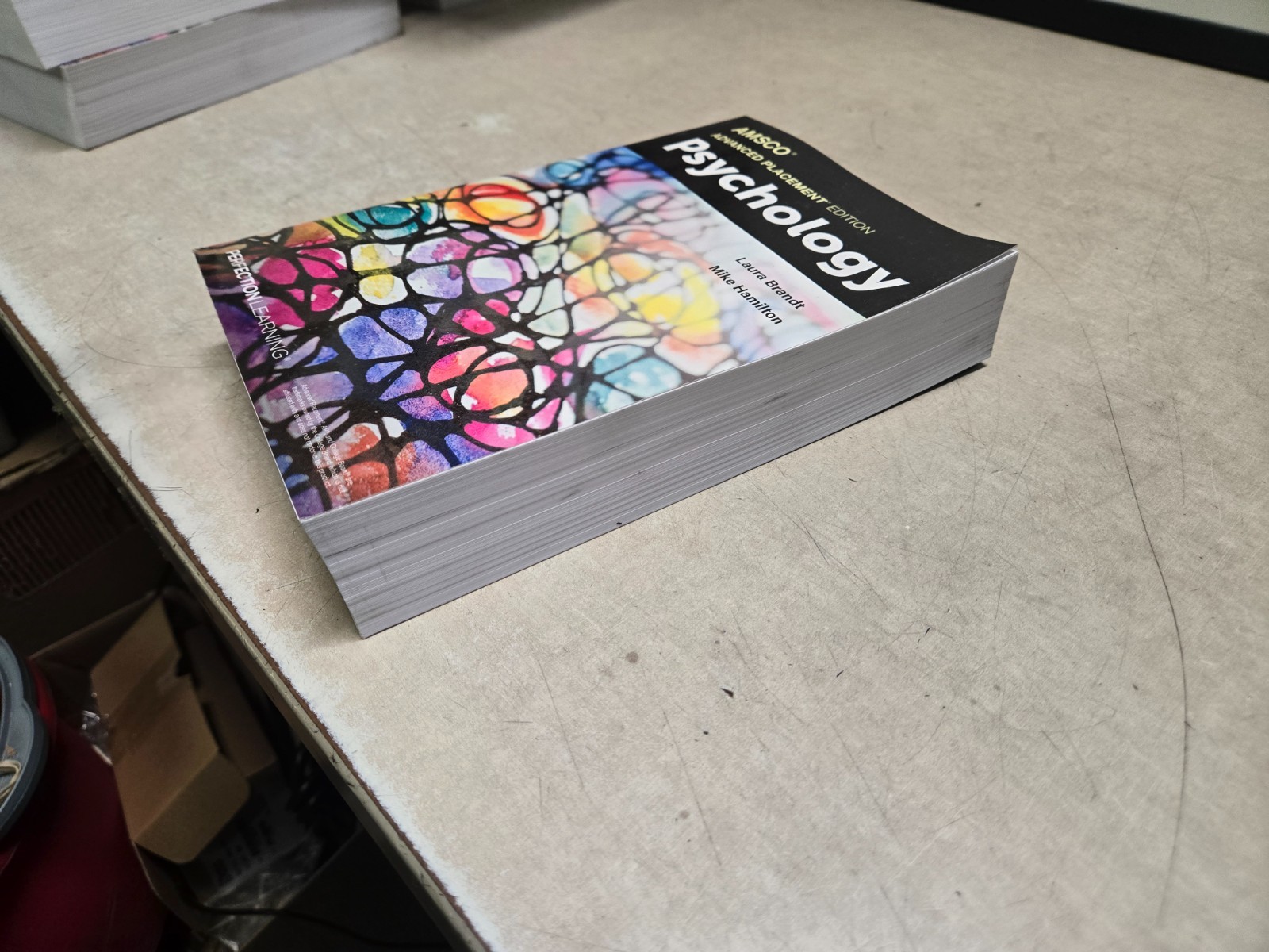 Advanced Placement Psychology, 3rd Edition (AMSCO PUBLICATION) Never read!