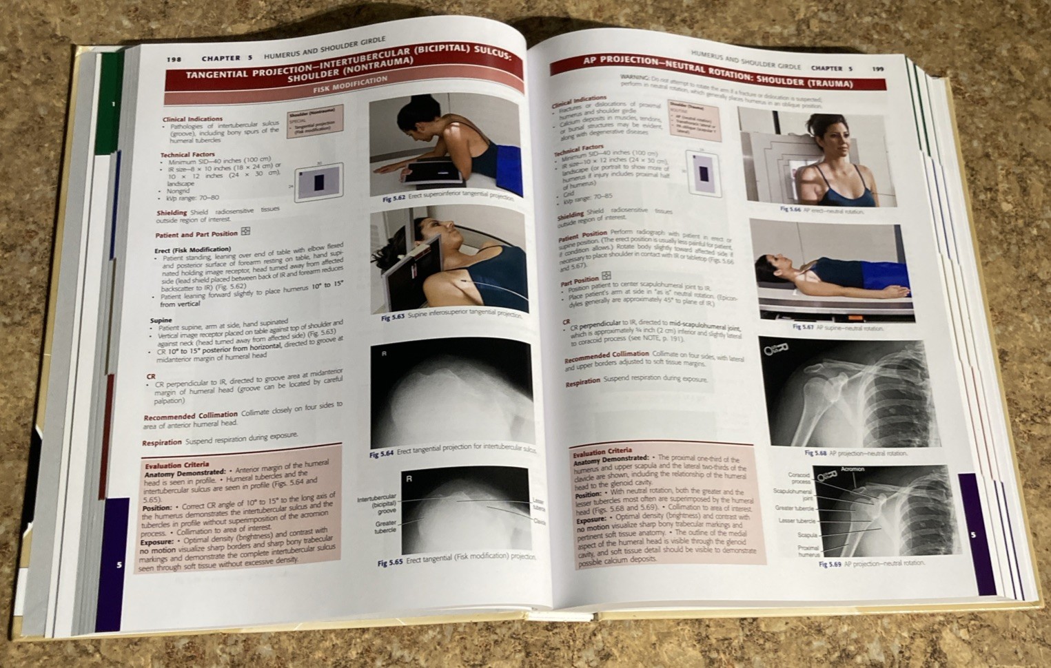 Bontrager’s Textbook of Radiographic Positioning and Related Anatomy