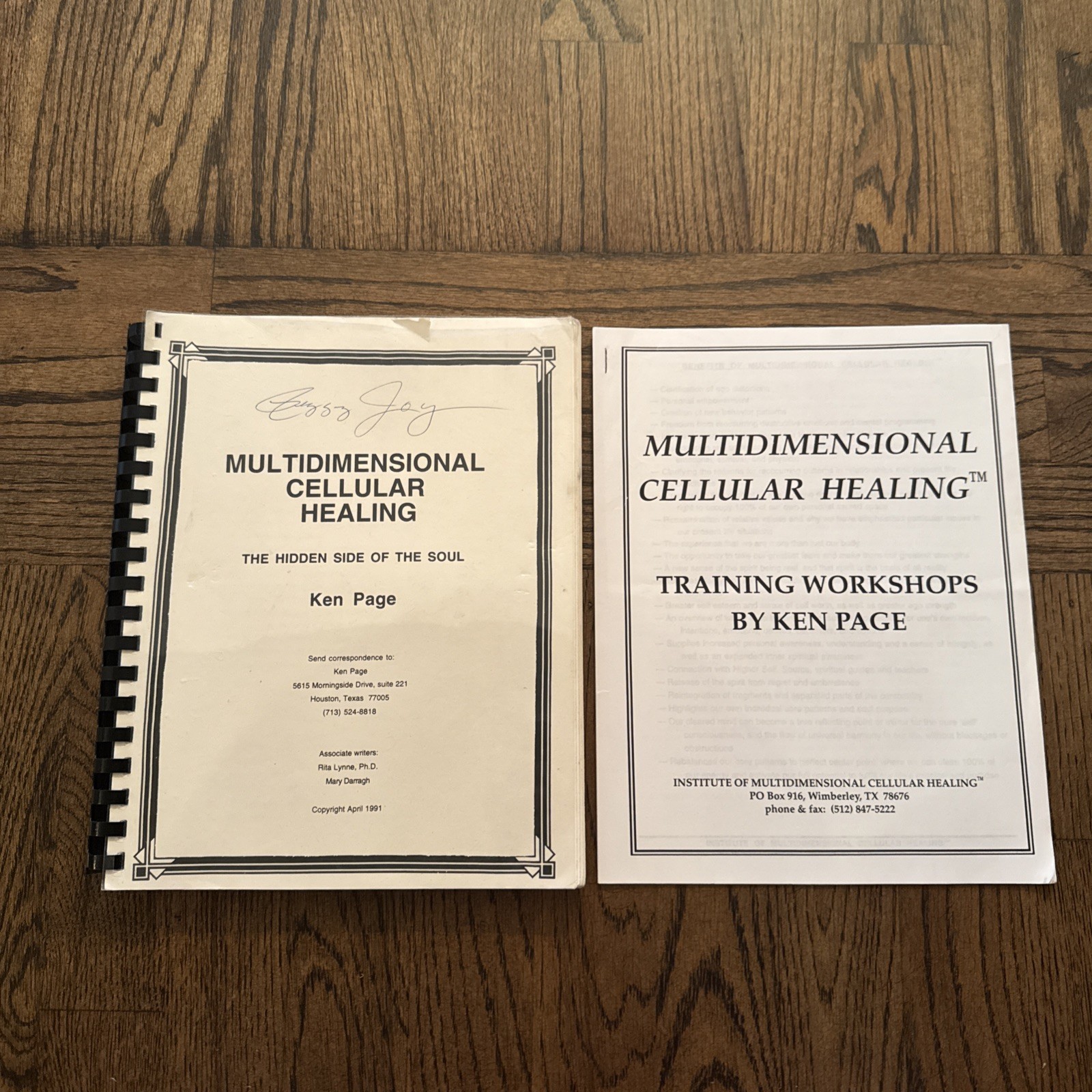 Multidimensional Cellular Healing Hidden Side Of Soul Ken Page 1991 Spiralbound