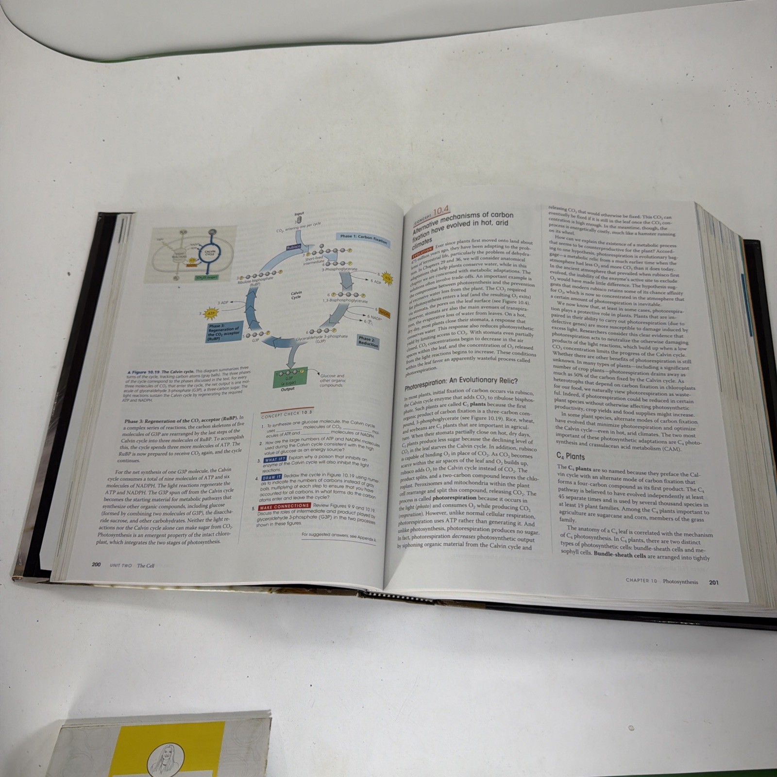 Campbell Biology 10th Edition by Reece Urry Cain Wasserman Minorsky – Acceptable