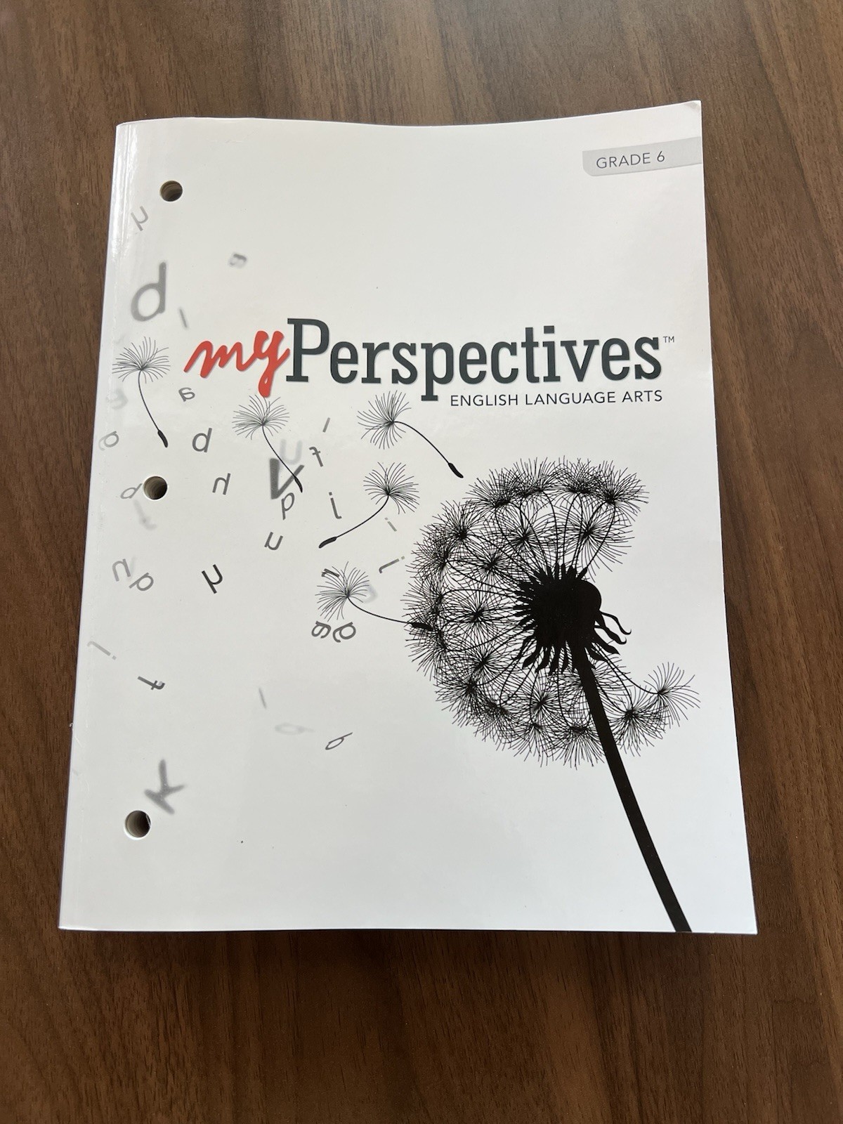 my Perspectives English Language Arts Student Edition ELA 6th Grade 6 – New