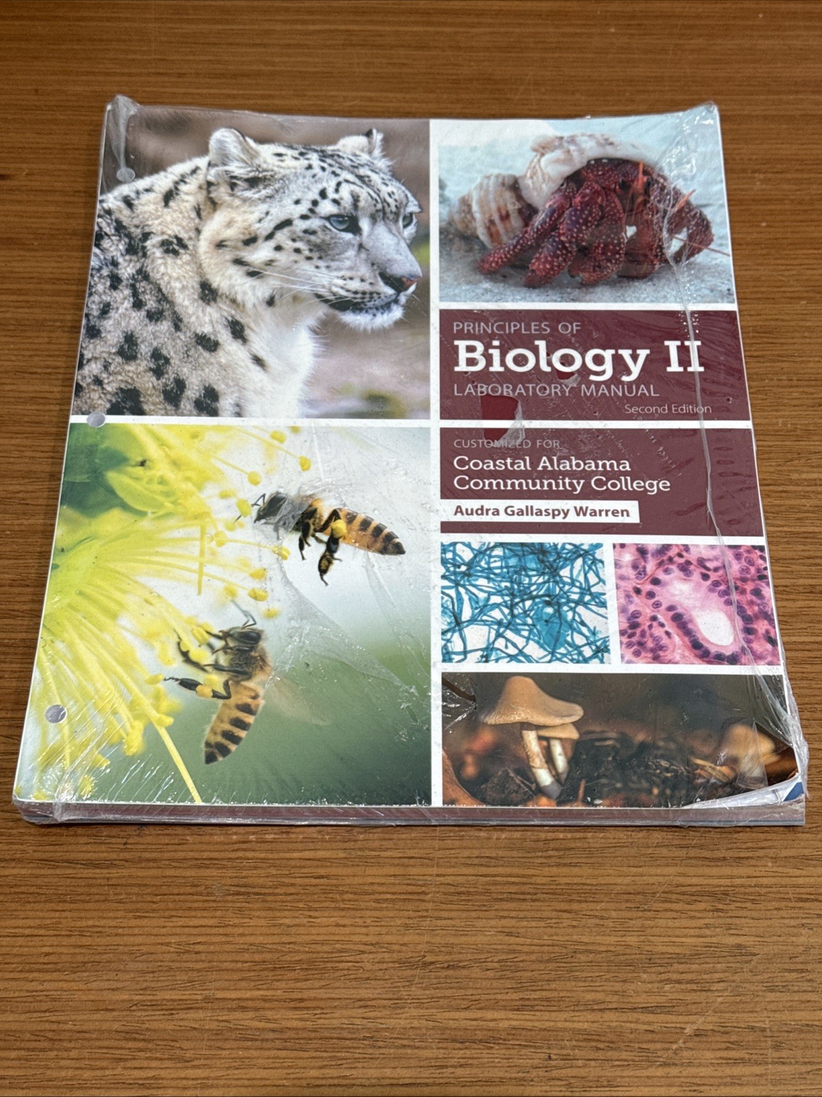 Principles of Biology II Lab Manual 2E Coastal Alabama Com College 9781640437821