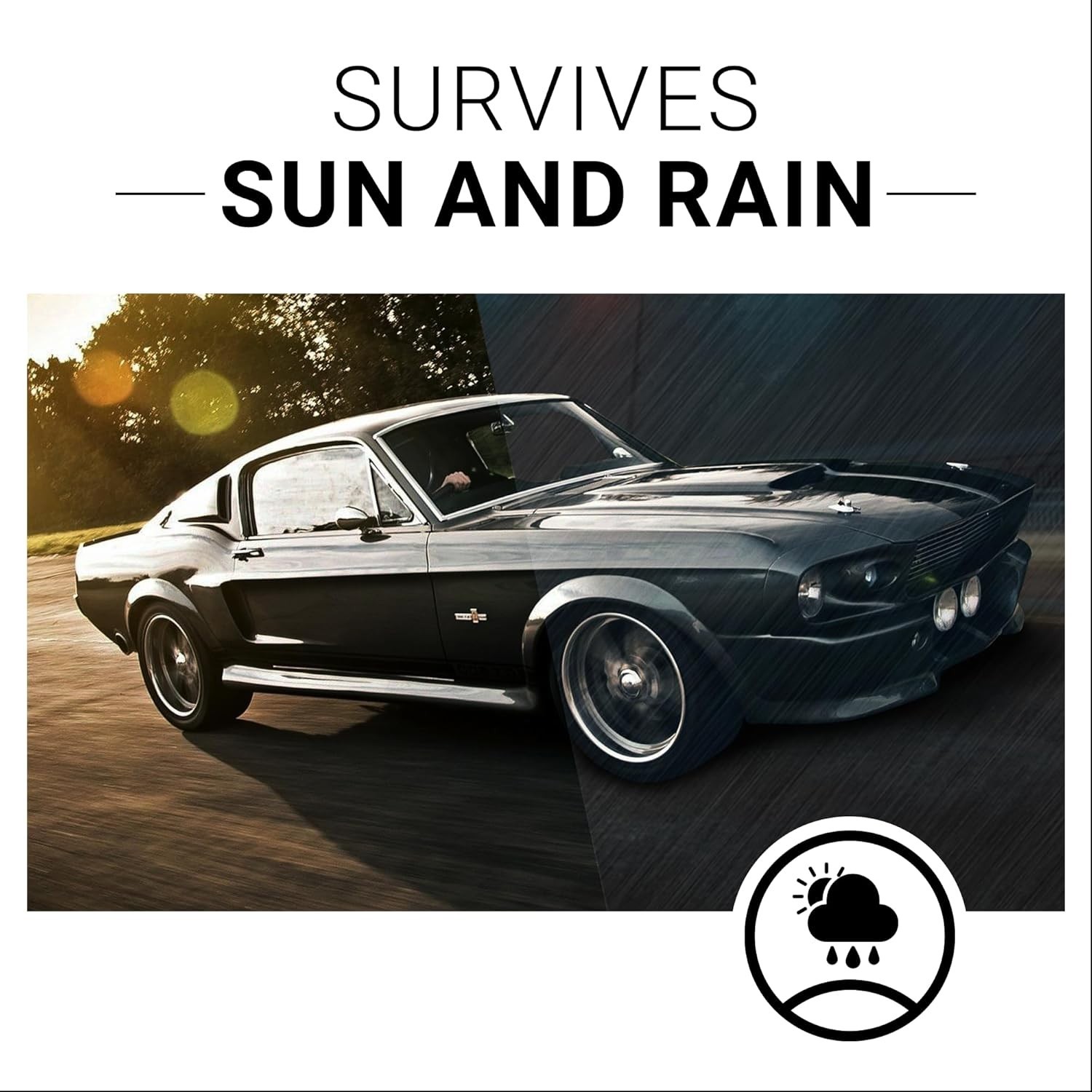 Rubber Vinyl Plastic Restorer 8 Oz Long Lasting Protection Against Elements