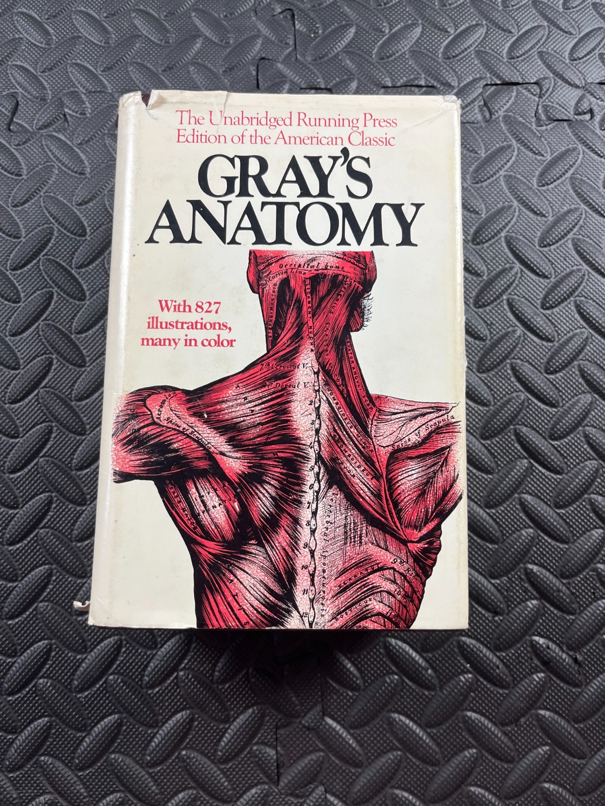 Gray’s Anatomy : The Unabridged Running Press Edition of the Amer