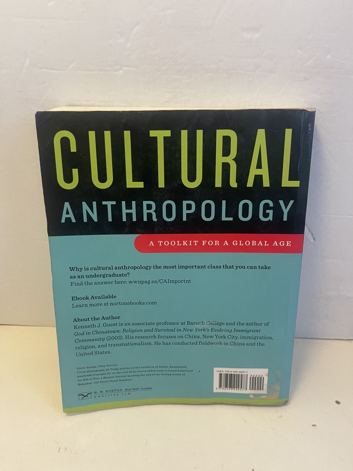 Cultural Anthropology : A Toolkit for a Global Age by Kenneth J. Guest (2013,…