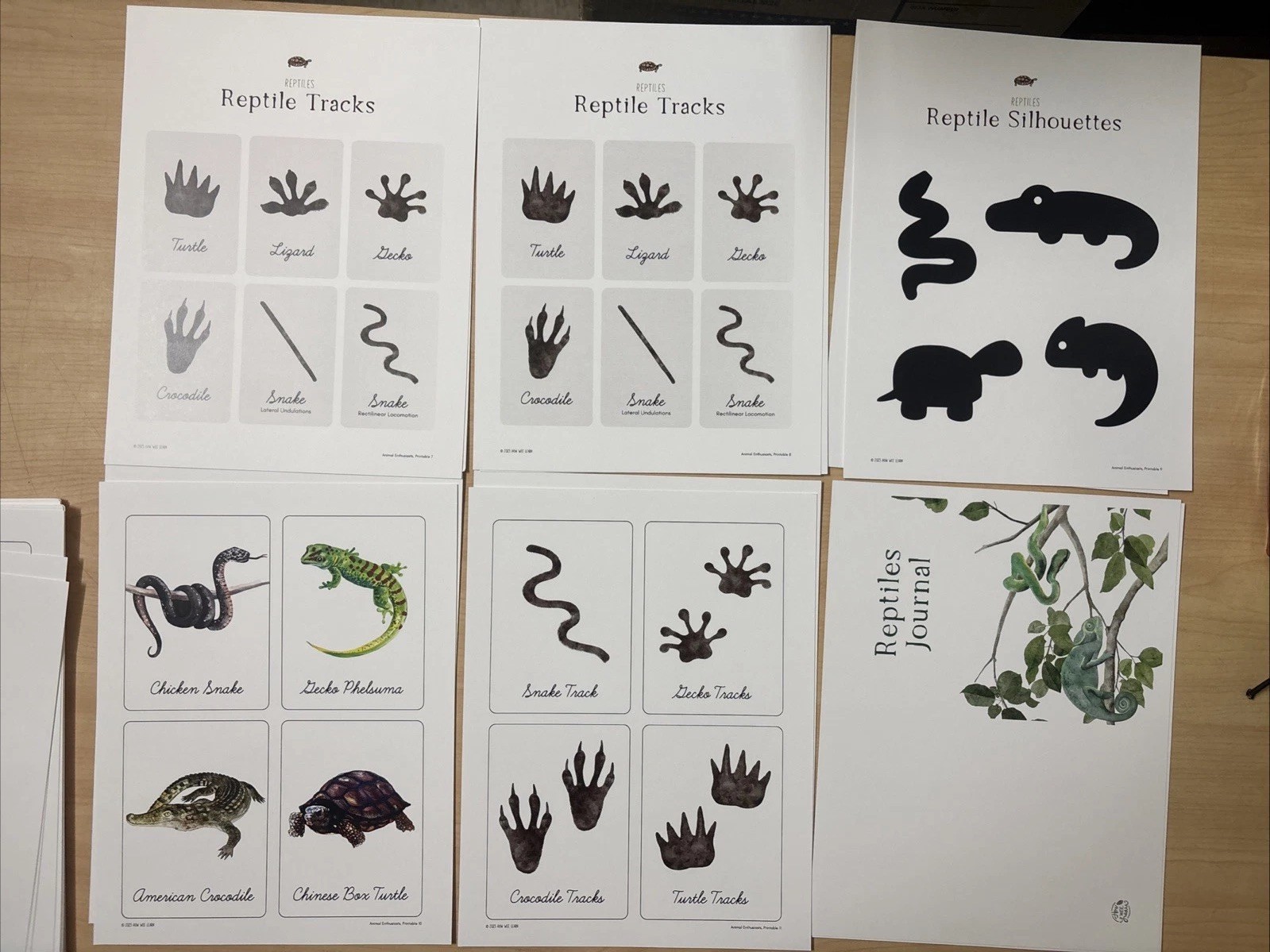 How Wee Learn Homeschool Curriculum Printables Kindergarten Science Animals Set
