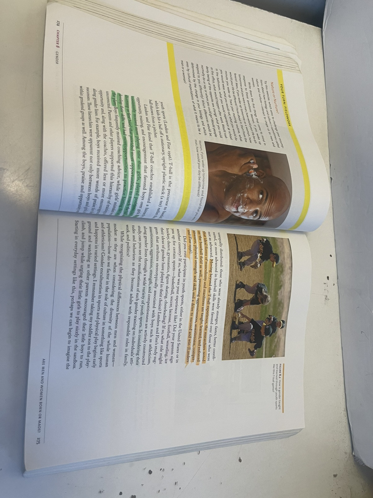 Cultural Anthropology : A Toolkit for a Global Age by Kenneth J. Guest (2013,…