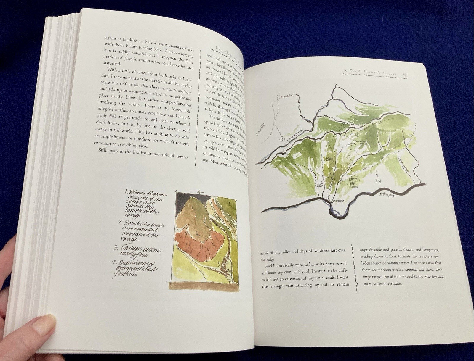 A Trail Through Leaves : The Journal as a Path to Place by Hannah Hinchman 1997