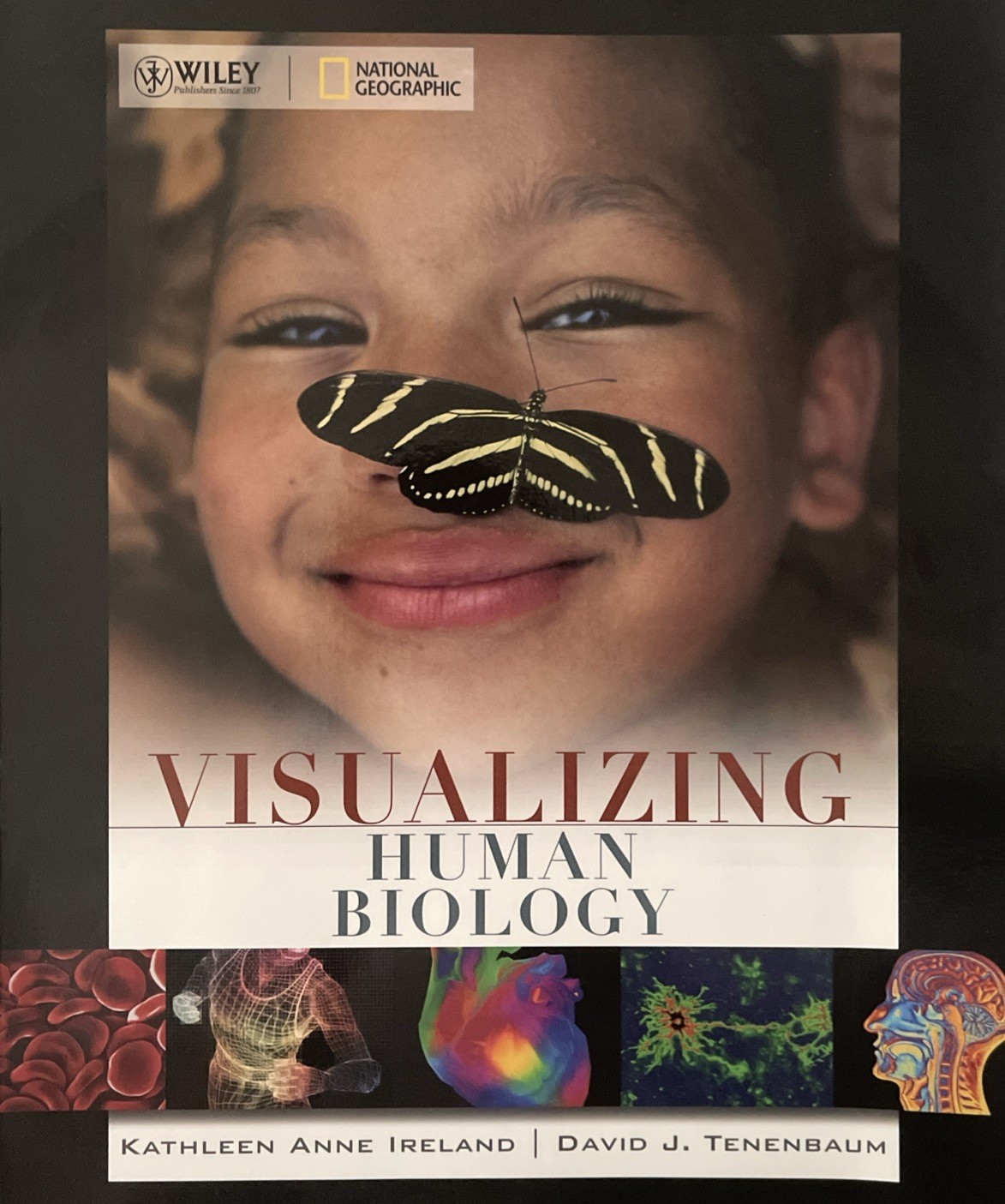 Visualizing Human Biology by Kathleen Anne Ireland and David J. Tenenbaum