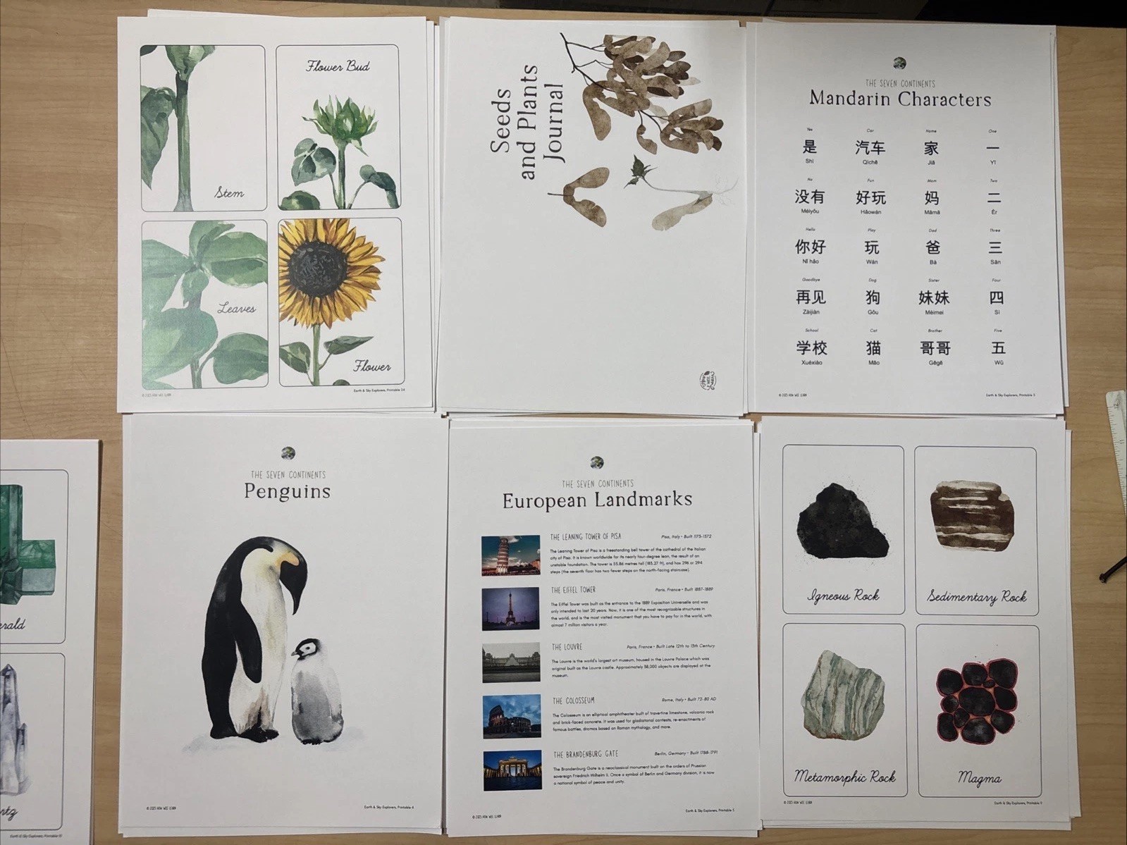 How Wee Learn Homeschool Curriculum Printables Kindergarten Science Animals Set