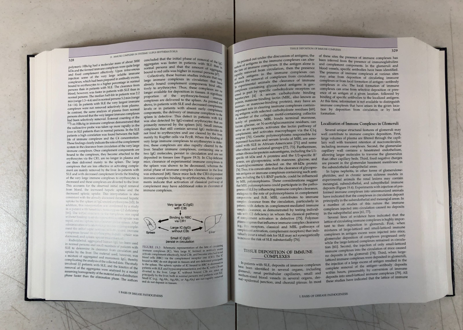 Systemic Lupus Erythematosus, Robert G. Lahita, 2011, EX-Library, E-123