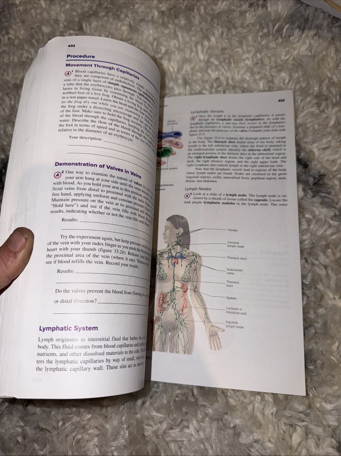 Seeley’s Anatomy & Physiology- Laboratory Manual- 13th Edition Spiral Paperback